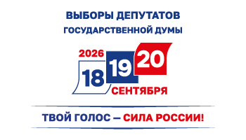 Выборы
